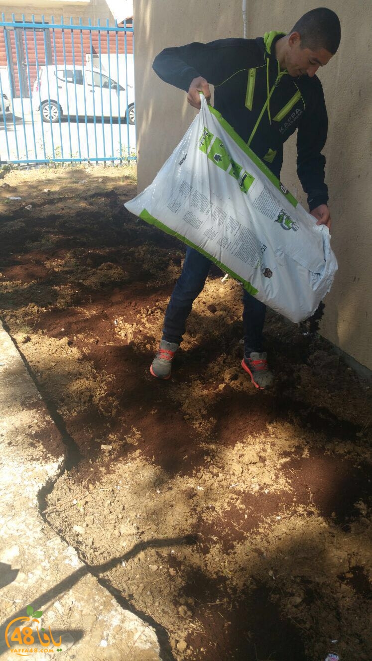 tomashin lduaj (16).jpg